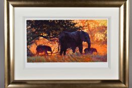 ROLF HARRIS (AUSTRALIAN 1931) 'BACKLIT GOLD' a limited edition print of elephants 131/195, signed to