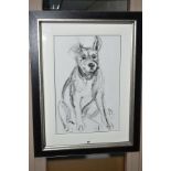 APRIL SHEPHERD (BRITISH CONTEMPORARY) 'DOG PORTRAIT V' a sketch of a dog sitting down, signed