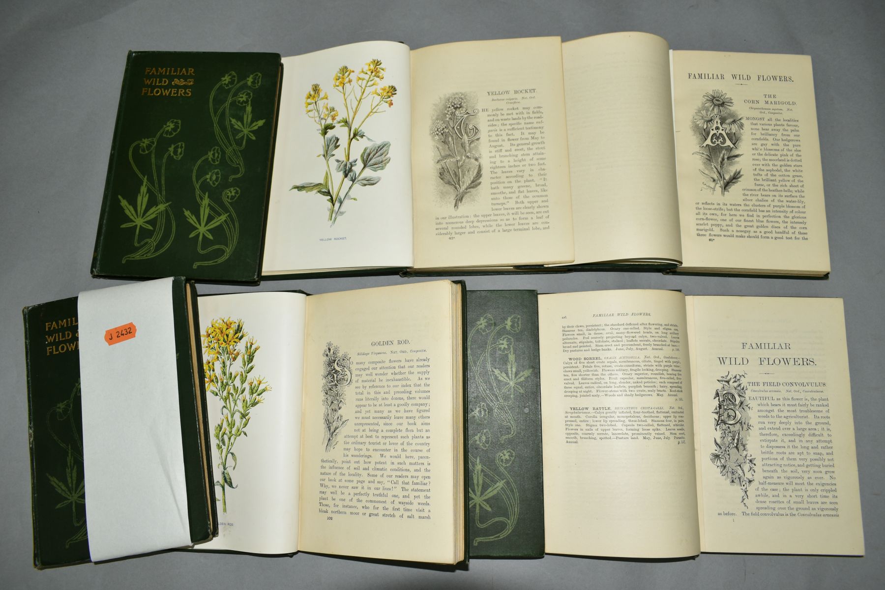 HULME, F. EDWARD, 'Familiar Wild Flowers', seven volume set, 1st Edition, Cassell, 1897, many colour - Image 3 of 4