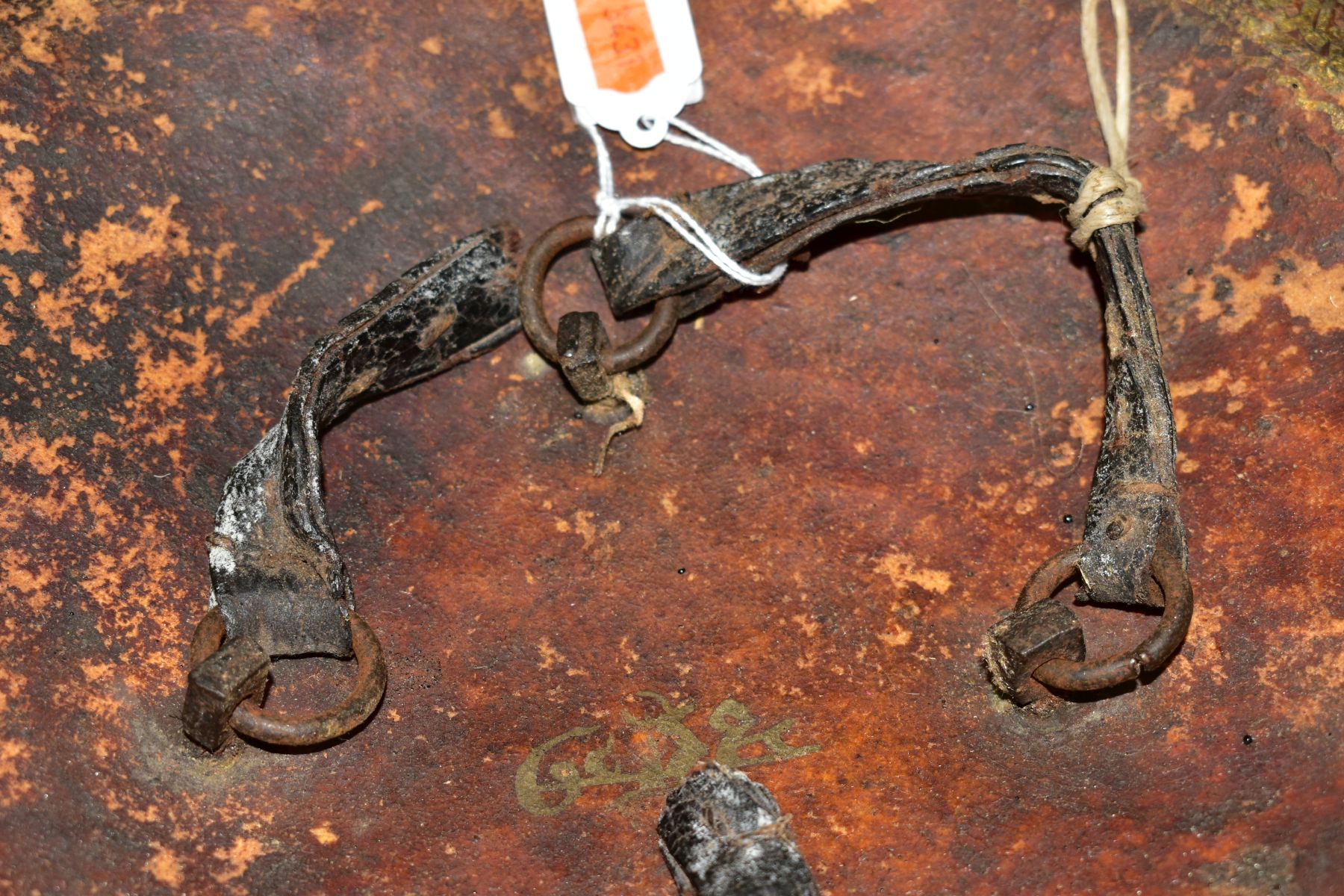 AN INDIAN LEATHER SHEILD WITH FOUR IRON BOSSES, probably 19th Century, leather straps verso and - Image 5 of 5