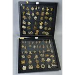 TWO LARGE GLAZED FRAMES CONTAINING A COLLECTION OF WW1 ERA BRITISH CAP BADGES/DEVICES ETC, eighty