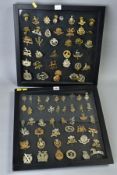 TWO LARGE GLAZED FRAMES CONTAINING A COLLECTION OF WW1 ERA BRITISH CAP BADGES/DEVICES ETC, eighty
