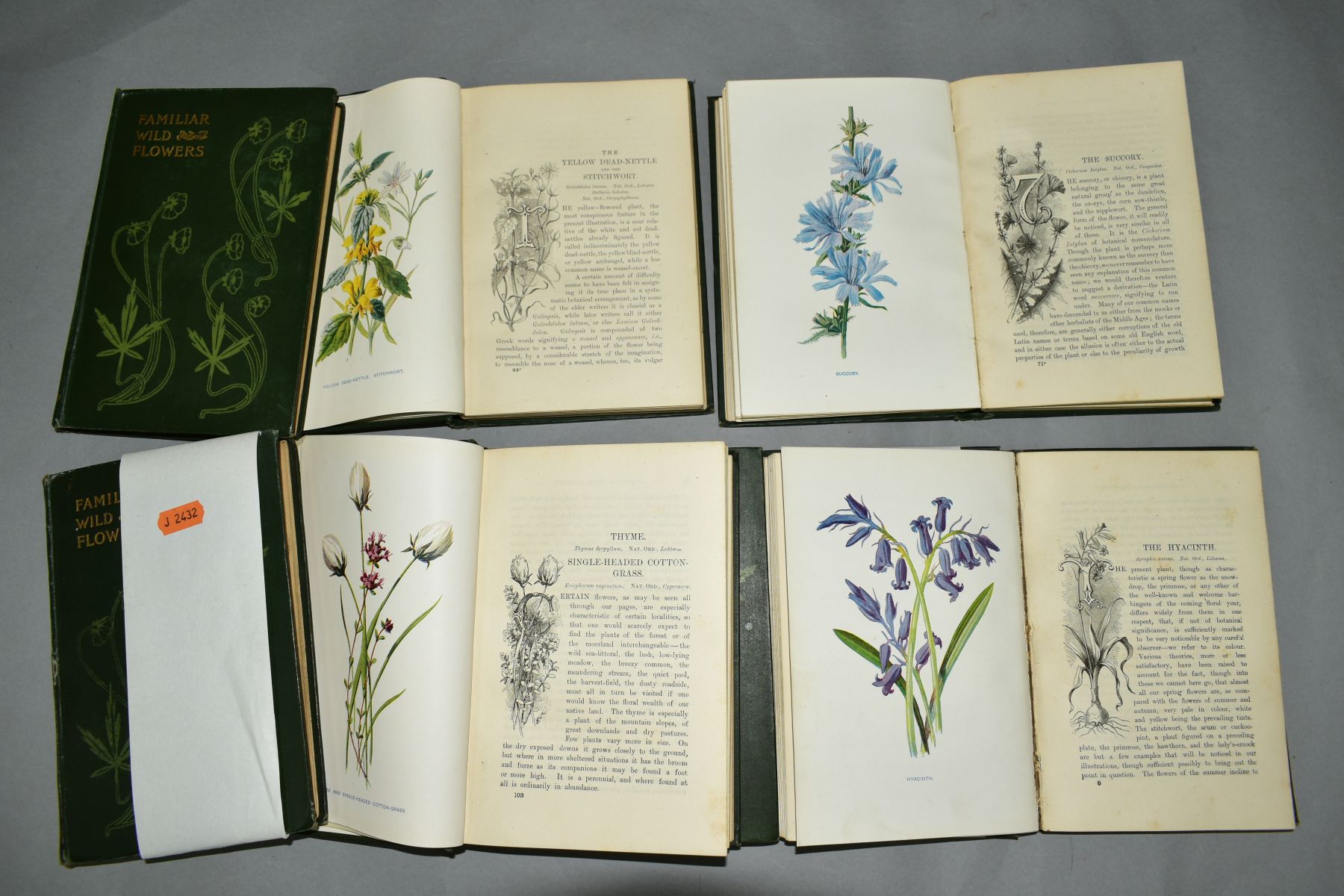 HULME, F. EDWARD, 'Familiar Wild Flowers', seven volume set, 1st Edition, Cassell, 1897, many colour - Image 4 of 4