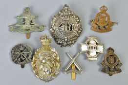 A NUMBER OF MILITARY CAP BADGES, helmet plates etc including three RAOC, Exeter Volunteer Cap