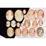 A SELECTION OF SHELL CAMEO PANELS, most of oval outline depicting a female in profile, in various