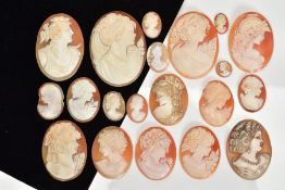 A SELECTION OF SHELL CAMEO PANELS, most of oval outline depicting a female in profile, in various