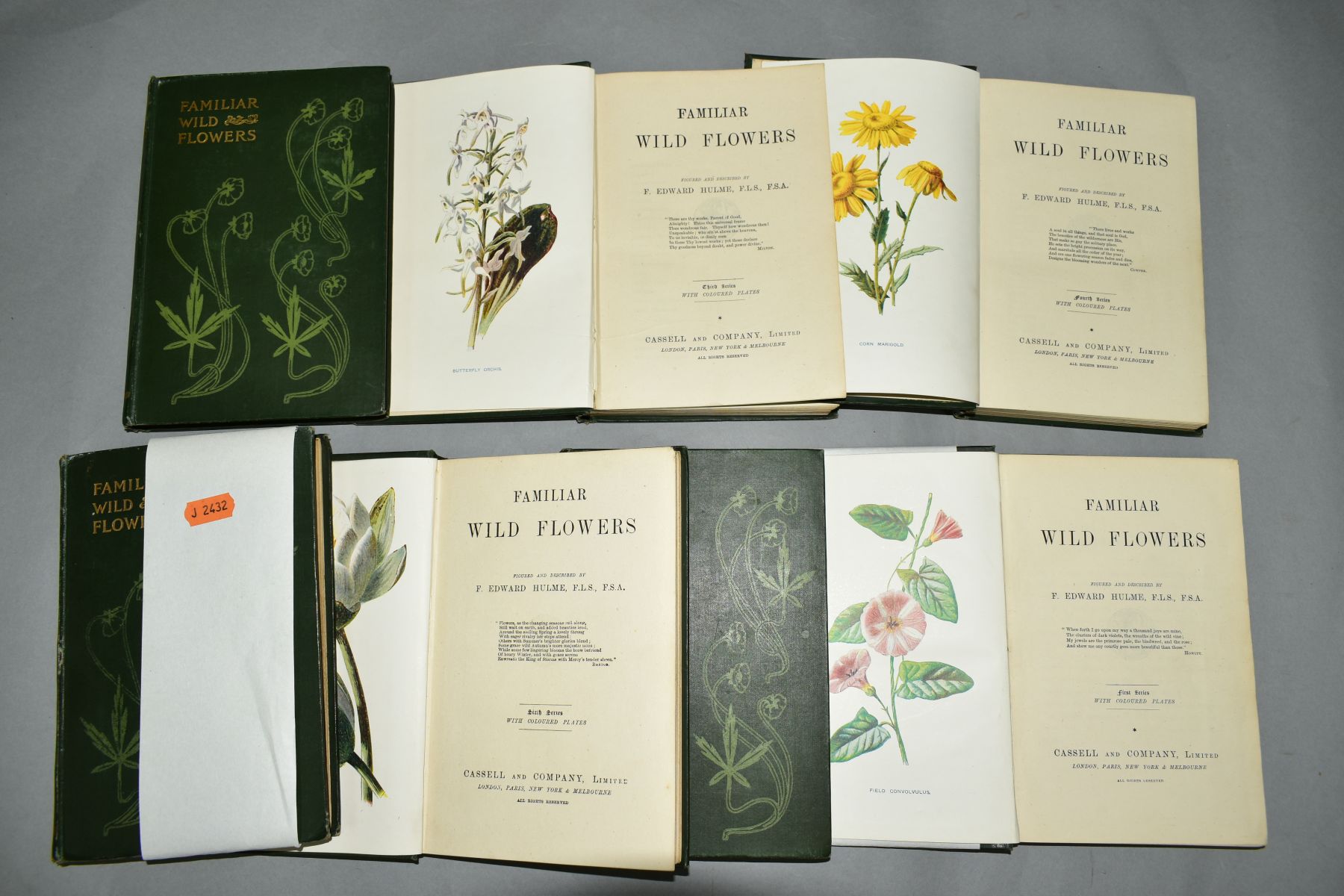 HULME, F. EDWARD, 'Familiar Wild Flowers', seven volume set, 1st Edition, Cassell, 1897, many colour - Image 2 of 4