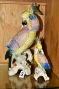 TWO KARL ENS PORCELAIN COCKATOOS, graduating heights of 35cm and 19.5cm (2)