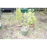 A PAIR OF BROWN GLAZED GARDEN PLANTERS and a green garden planter (all 36cm in diameter) (2)