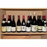 FIFTEEN BOTTLES OF RED WINE FROM BURGUNDY AND THE RHONE, comprising two x 1.5L bottles of Domaine