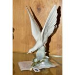 A LLADRO TURTLE DOVE, No 4550, designed by Fulgencio Garcia, approximate height 28cm, with leaflet