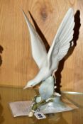 A LLADRO TURTLE DOVE, No 4550, designed by Fulgencio Garcia, approximate height 28cm, with leaflet