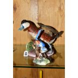 A CROWN STAFFORDSHIRE WILDFOWL BY PETER SCOTT SCULPTURE, '1985 Ruddy Duck', twelth in a series of