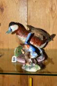 A CROWN STAFFORDSHIRE WILDFOWL BY PETER SCOTT SCULPTURE, '1985 Ruddy Duck', twelth in a series of