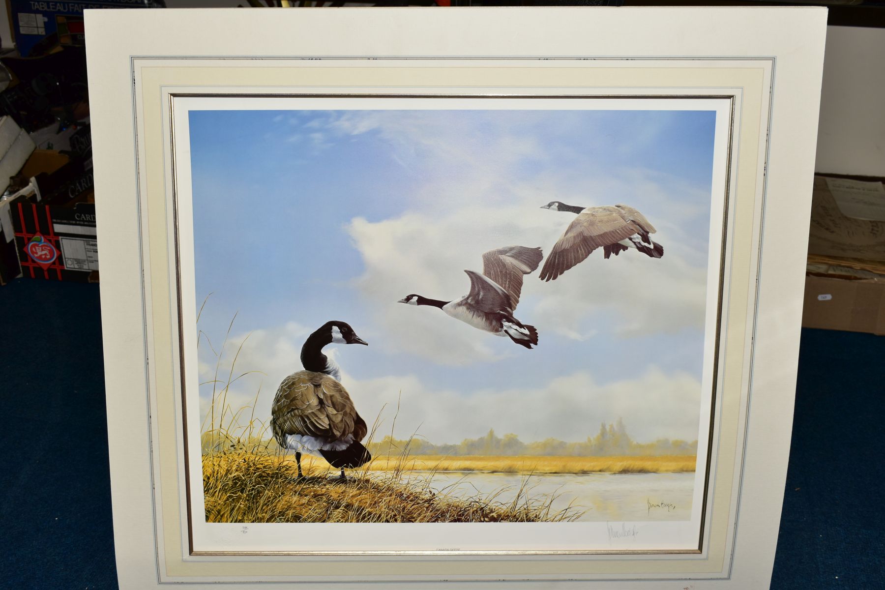 SPENCER HODGE (BRITISH 1943) 'CANADA GEESE' a limited edition print 386/950, signed to lower