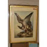 WILLIAM HEATH (BRITISH 19TH CENTURY), study of an eagle with wings raised whilst perched on an