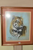 PAUL APPS (BRITISH 1958), a study of a tiger, signed lower left, dated (19)89, pastel on paper,