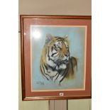 PAUL APPS (BRITISH 1958), a study of a tiger, signed lower left, dated (19)89, pastel on paper,