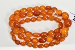 A NATURAL AMBER BEAD NECKLACE, fifty fine oval beads graduating in size from 9mm x 5.5mm to 16mm x