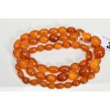 A NATURAL AMBER BEAD NECKLACE, fifty fine oval beads graduating in size from 9mm x 5.5mm to 16mm x