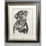 APRIL SHEPHERD (BRITISH CONTEMPORARY) 'BLACK LABRADOR', a portrait study of a dog, initialled bottom