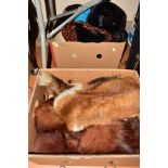TWO BOXES OF VINTAGE FOX FUR STOLES AND VINTAGE LADIES HATS, including an Ermine scarf, hats include