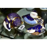THREE ROYAL CROWN DERBY PAPERWEIGHTS, Badger and Wren having gold stoppers, Duck with no stopper,