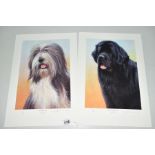 NIGEL HEMMING (BRITISH 1957), two limited edition prints 'Black Newfoundland' 27/200 and 'Bearded