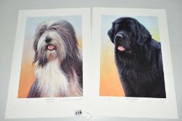 NIGEL HEMMING (BRITISH 1957), two limited edition prints 'Black Newfoundland' 27/200 and 'Bearded