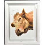SARAH STOKES (BRITISH CONTEMPORARY) 'BUTTERCUP' a portrait study of a Cow, signed bottom right,