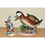 A CROWN STAFFORDSHIRE WILDFOWL BY PETER SCOTT SCULPTURE, '1985 Ruddy Duck', twelth in a series of