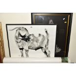 A CHARCOAL DRAWING OF A GOAT BY CLIVE FREDRIKSSON, framed, size approximately 59cm x 72cm,