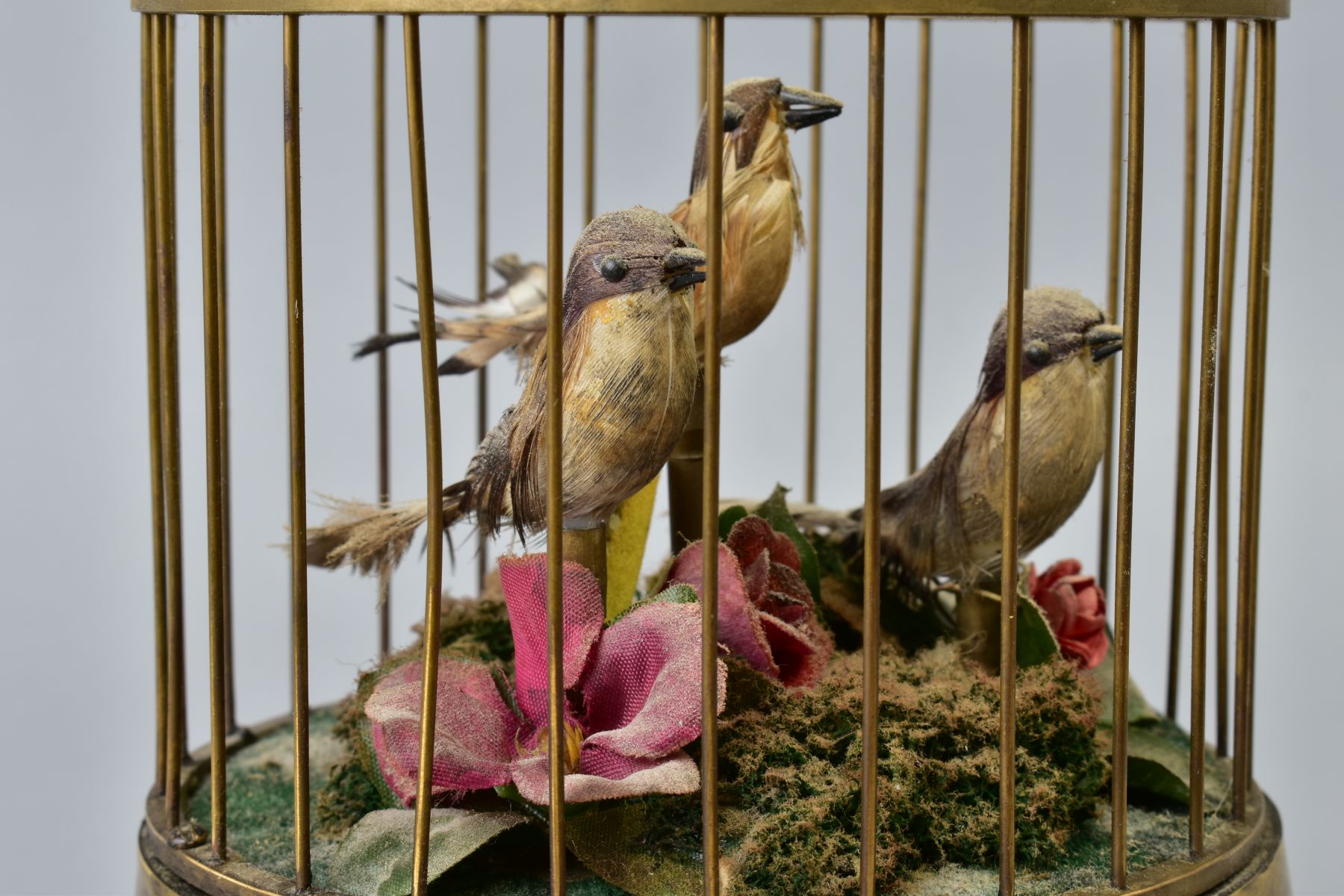 AN EARLY 20TH CENTURY CLOCKWORK AUTOMATON OF A CAGE OF THREE BIRDS, stamped brass base, on three - Image 4 of 6