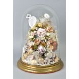 A LATE VICTORIAN GLASS DOME ON CIRCULAR STEPPED BRASS BASE, containing an arrangement of shells,