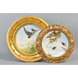 TWO GILT FRAMED VICTORIAN PORCELAIN, CIRCULAR PLAQUES, one singed G.E.Barker depicting a bird flying