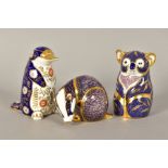 THREE ROYAL CROWN DERBY PAPERWEIGHTS, Badger, Koala and Platypus, blue/gilt and Imari colourways,