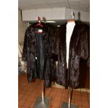 TWO LADIES DARK BROWN DYED SQUIRREL FUR COATS, one having turned back cuffs, measures neck to head