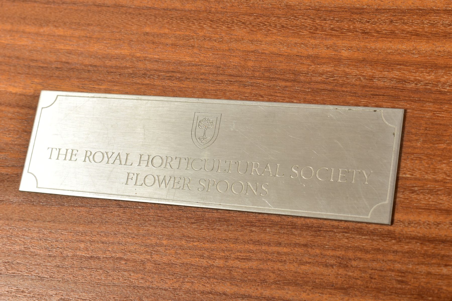 A CASED SET OF TWELVE 'THE ROYAL HORTICULTURAL SOCIETY FLOWER SPOONS', sponsor John Pinches, - Image 5 of 5