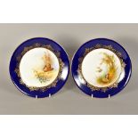 A PAIR OF ROYAL WORCESTER CABINET PLATES PAINTED BY A.SHUCK, blue and gilt borders, the centres with