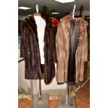 A LADIES DARK BROWN MUSQUASH KNEE LENGTH COAT, turn back cuffs, under arm to under arm across the