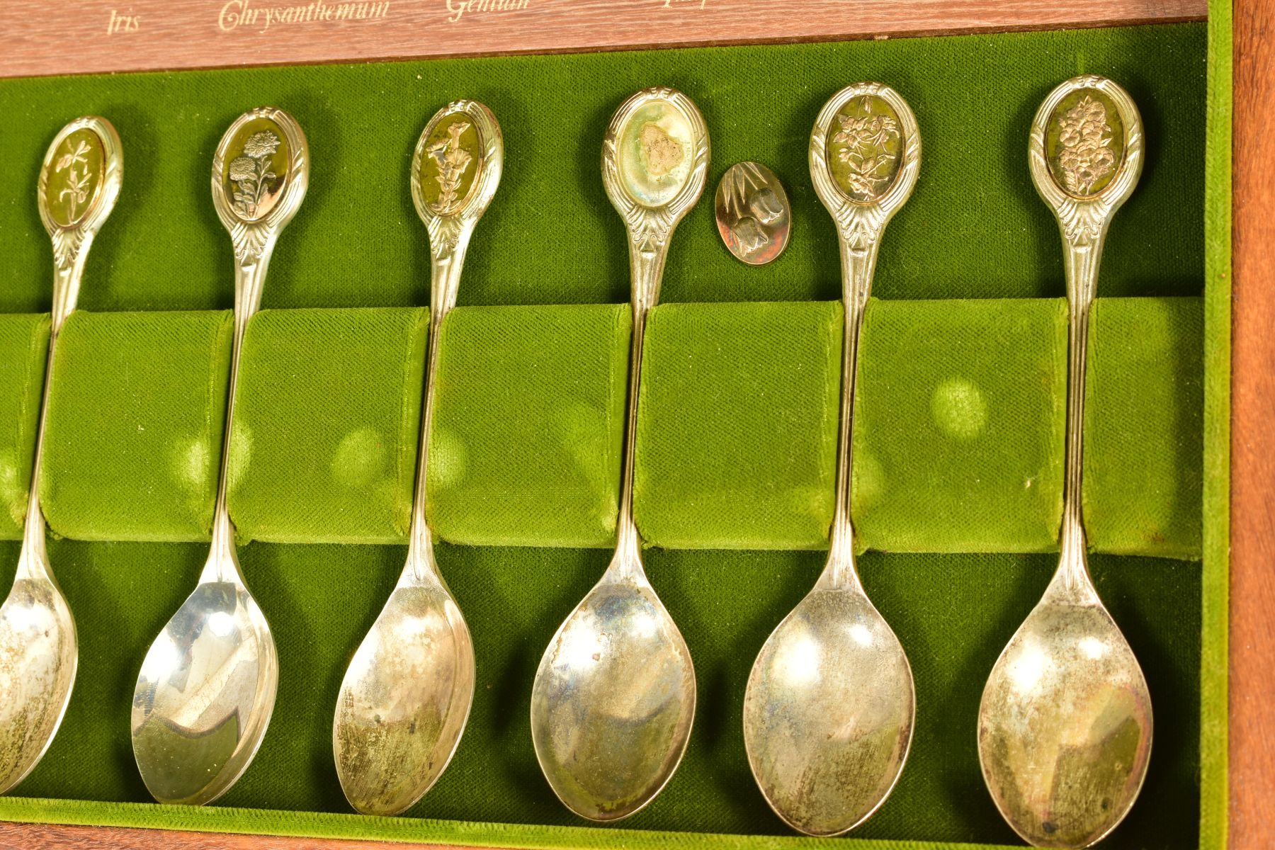 A CASED SET OF TWELVE 'THE ROYAL HORTICULTURAL SOCIETY FLOWER SPOONS', sponsor John Pinches, - Image 2 of 5