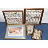 FRAMED CIGARETTE CARDS, comprising of twenty Ogdens British Birds in two frames, Wills Old English