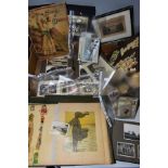 EPHEMERA, three vintage photograph/postcard albums from early 20th Century featuring family