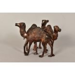 A BRONZED FIGURE GROUP OF THREE CAMELS, standing in a triangular shape, possibly for a base,