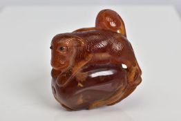 A CARVED AMBER NETSUKE in the form of an animal with leaves and flying insects detailing to the