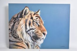 DARRYN EGGLETON (SOUTH AFRICA 1981) 'THE SENTINEL', limited edition box canvas print of a tiger 51/