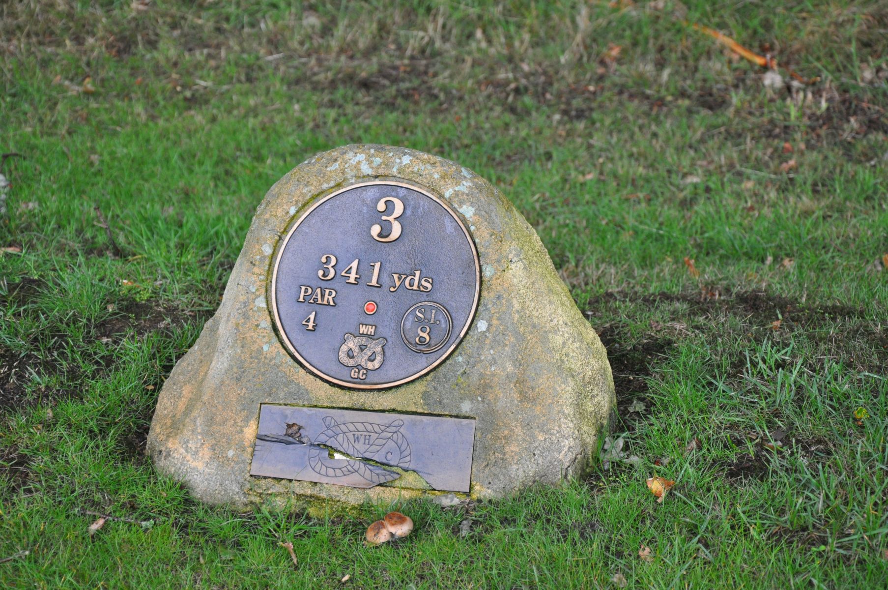 THE RED TEE MARKER FOR HOLE THREE