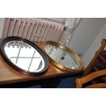 TWO OVAL MIRRORS, one in stained mahogany with bevelled glass, 58cm high, the other an ornate gilt