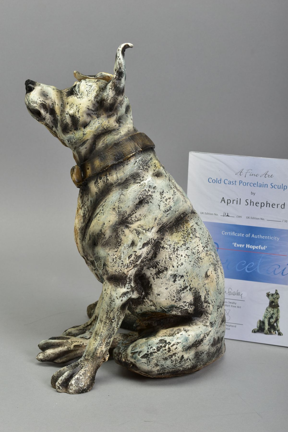 APRIL SHEPHERD (BRITISH CONTEMPORARY) 'EVER HOPEFUL', a limited edition cold case sculpture of a Dog - Bild 3 aus 5