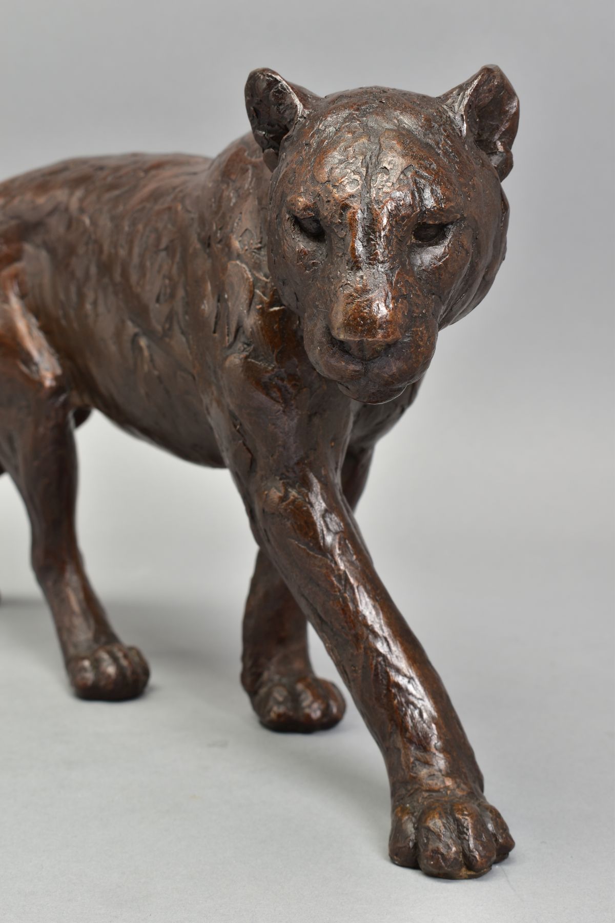 MICHAEL SIMPSON (BRITISH CONTEMPORARY) 'BIG SHOT', an artist proof bronze sculpture of a Lioness. - Bild 2 aus 5